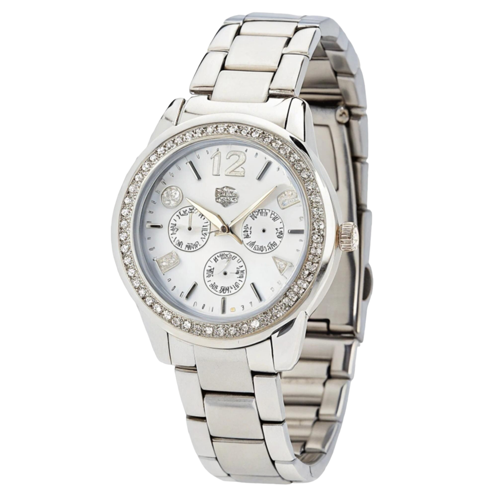 Premium Automatic Stainless Steel Watch